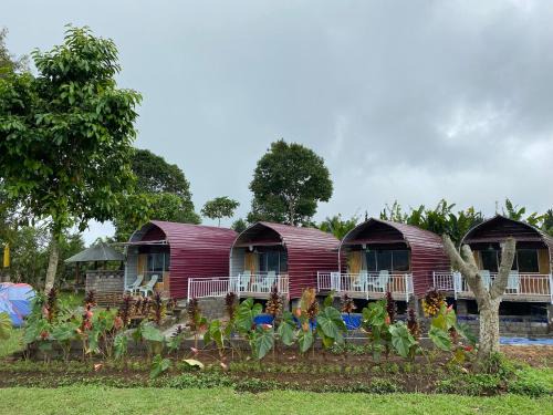 Candikuning Other | Bali Strawberry Glamping and Camp Bedugul