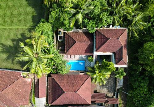 Pengosekan House | Balimas Guest House