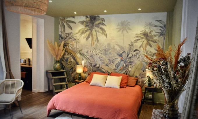 Centre Ville Apartment | Balneo in the Jungle