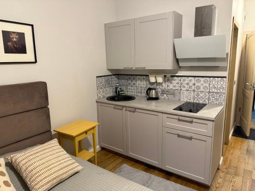 Grizinkalns Apartment | Baltic Design Apartments with free Parking and self check in