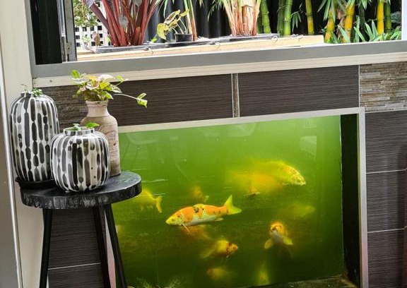 Arncliffe House | Bamboo House, Close to the City & Airport & Train station and Brighton Le Sands Beach