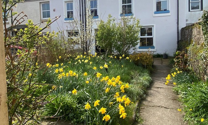Montrose House | Bamse B&B