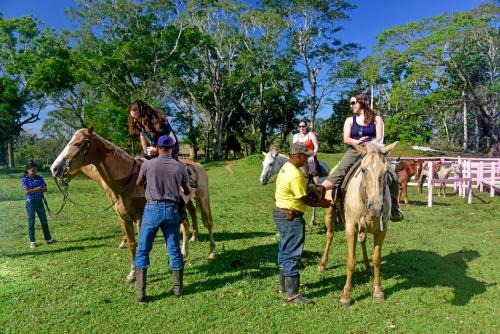 Armenia Cabin | Banana Bank Lodge & Jungle Horseback Adventures