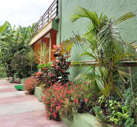 Kamalapur House | BANANA FARM HOUSE