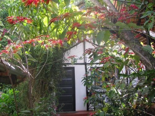 Marangu Hotel | Banana Jungle Lodge