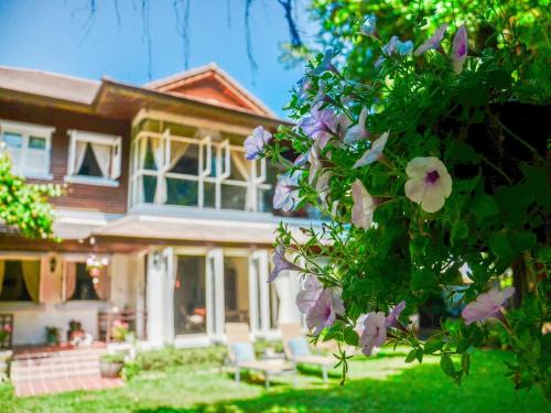 Choeng Mon Bed & Breakfast | Banyan House Samui bed and breakfast (Adult Only)