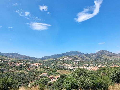 Banyuls-sur-Mer Apartment | BANYULS-SUR-MER : Magnifique T2 avec terrasse et garage - FR-1-309-476