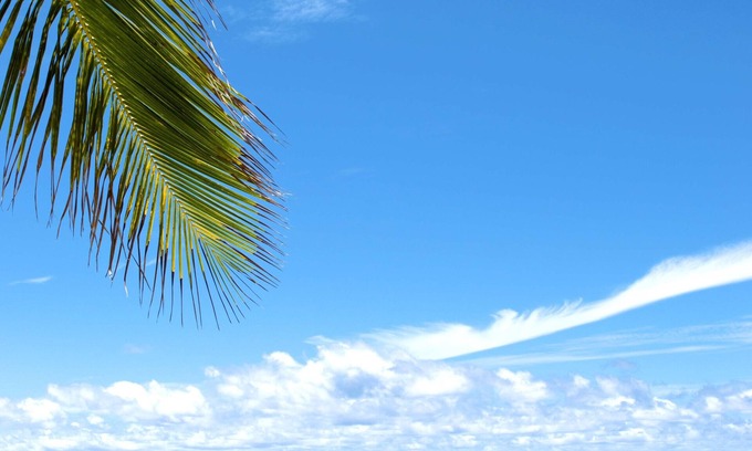 Maxwell Resort | Barbados Beach Club Resort - All Inclusive