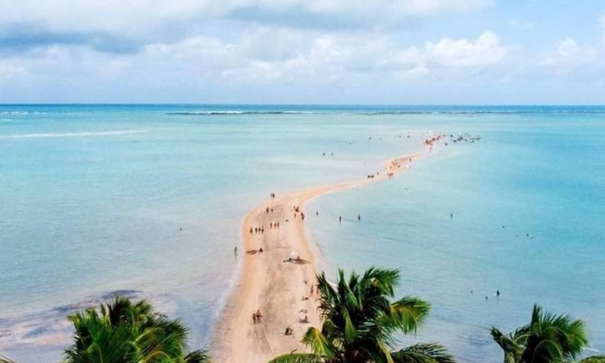 Maragogi Apartment | Barra Grande Yellow House
