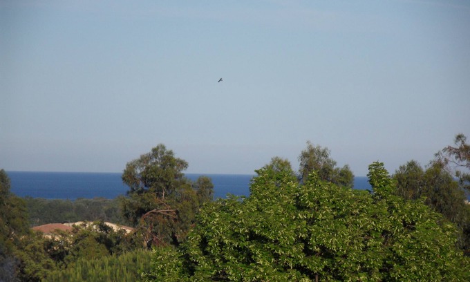 Folelli Villa | Bas de Villa and its private area close to beaches and rivers