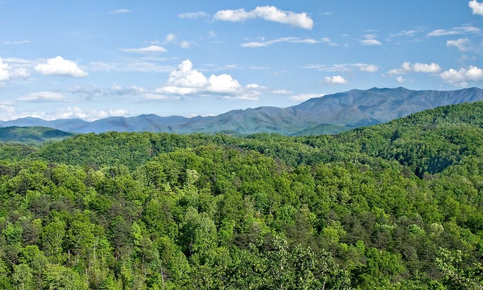 Gatlinburg - Pigeon Forge Cabin | Bashful Bear: 6 bedrooms, Hot Tub, Elevator, Views, Gameroom, Theater