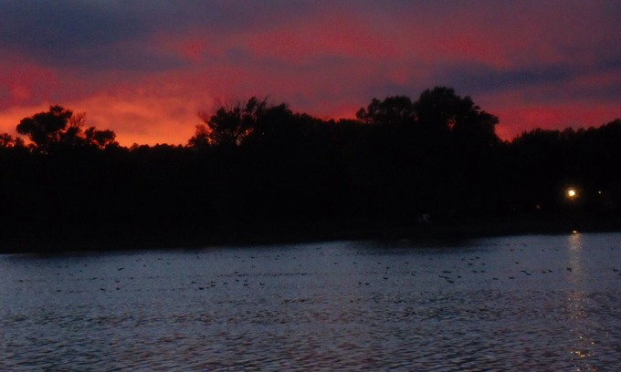 Whittington Cabin | Bass Cabin: Fully Furnished Lakeside Cabin. Nicely decorated for comfort.