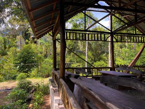 Bohorok Other | Batu Ridi Jungle