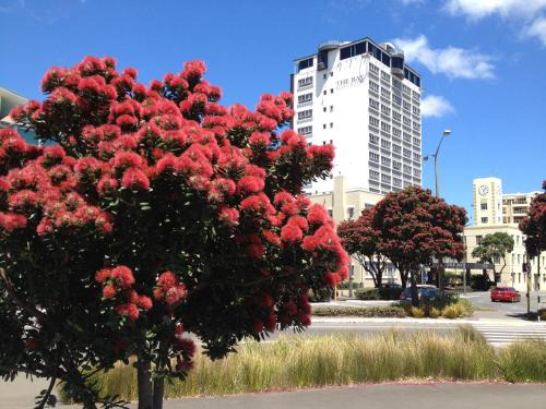Oriental Bay Hotel | Bay Plaza Hotel