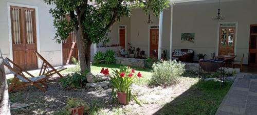 Vicuna Hotel | Bayti Hostal
