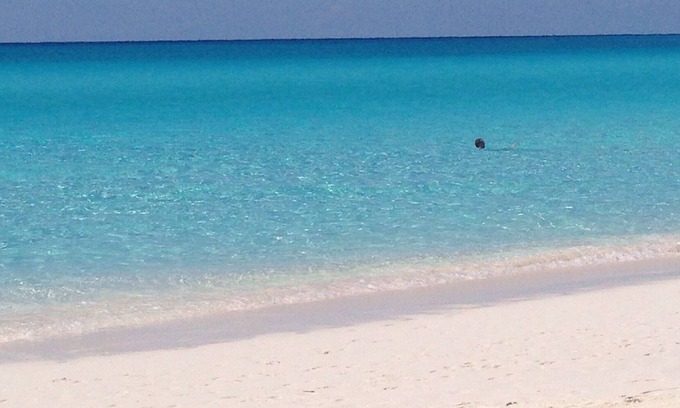 Whitney Beach Condo | Beach condo is steps to a beautiful pool, beach with stunning views of sunset.