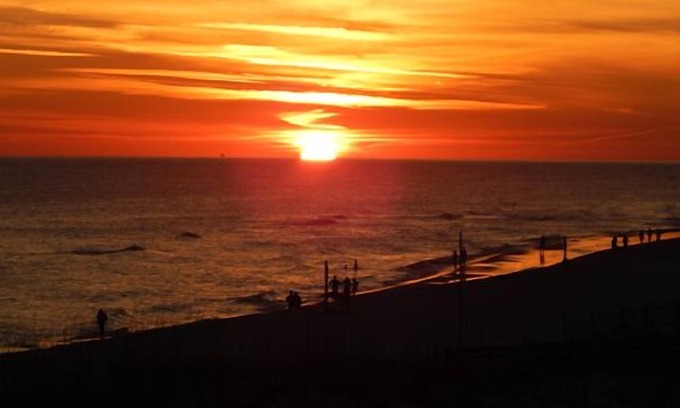 Gulf Shores Condo | Beach Front, 2 BR, Secluded Beach/State Pier, Discount Offered