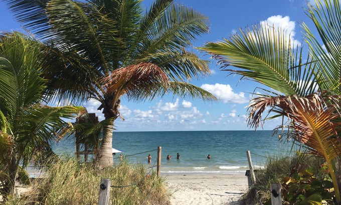 Key Biscayne Apartment | Beach Haus Key Biscayne