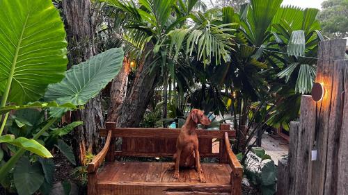 Byron Bay House | Beach Jungle - Pet-Friendly Hot Tub, Firepit & Pool in Beachside Hideaway
