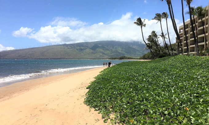 Kihei Condo | BEACH RESORT 10% DSCNT on 7 days Stay - Exquisite Renovated Condo