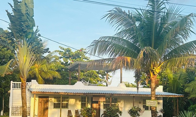 Hopkins House | Beach View, 2 minute walk to Caribbean Sea, Rooftop Pergola with Hammocks
