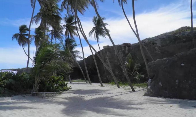 Apple Hall Villa | Beachcliff Bottom Bay Barbados