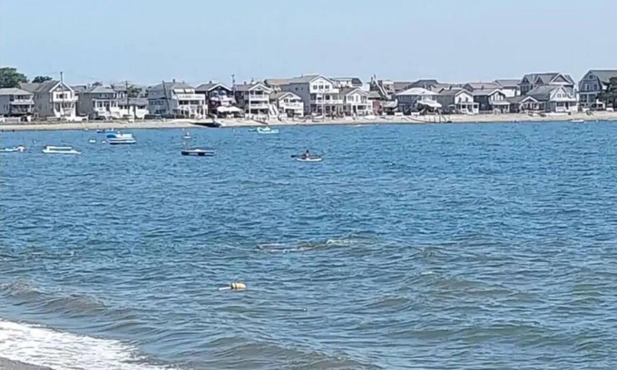 Milford House | Beachfront getaway in Milford