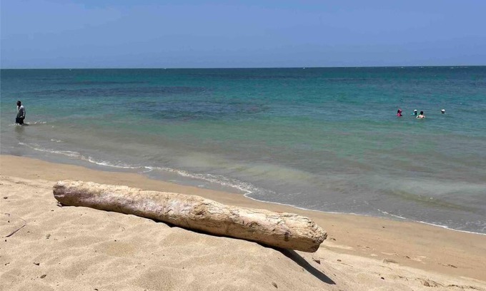 Loiza Apartment | Beachfront Paradise Mesmerizing View - Sea&Sun Stay