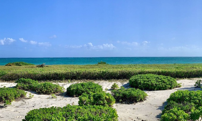 Wheeland Settlement Condo | Beachfront- BREEZY POINT CONDO. "Newly Furnished"!