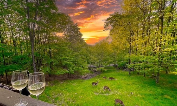 Charter Hills Cabin | Bearfoot on Beech Mtn Updated Cabin/Amazing Deck & Views/Club Sports Membership
