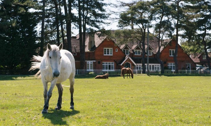 New Forest District Hotel | Beaulieu Hotel