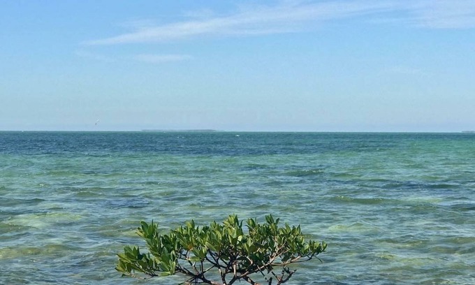 Islamorada Condo | Beautiful 2 bedroom Summer Sea Condo