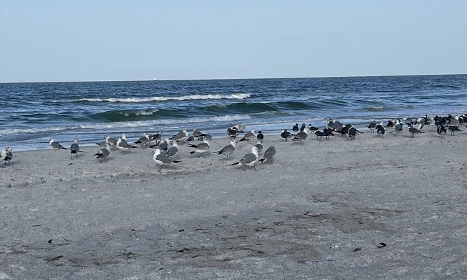 Bradenton Beach House | Beautiful 2BD beach house on Anna Maria Island!