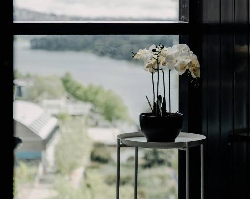 Belconnen Apartment | Beautiful 2BR Lakeside View