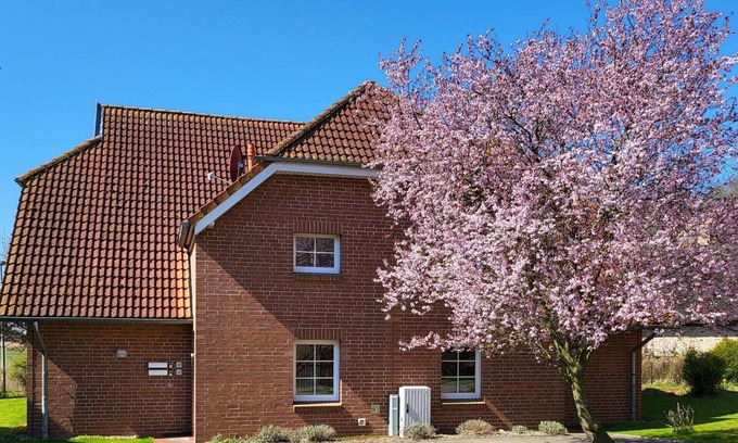 Ummanz Apartment | Beautiful apartment for 4 guests with WIFI, TV, balcony and pets allowed