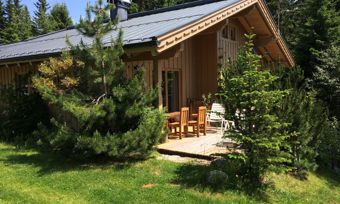 Hochkrimml Apartment | Beautiful apartment with terrace and garden, free mountain view, 200m to the lift, dogs yes