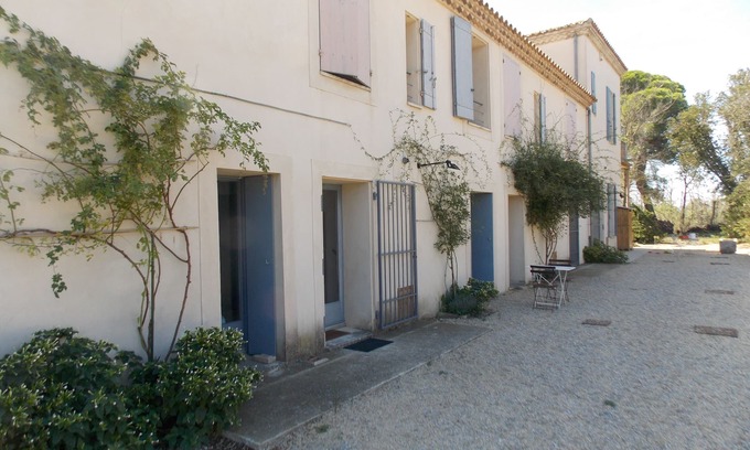 Le Grau-Du-Roi Other | Beautiful contemporary dwelling in old farmhouse, surrounded by nature, near Grau