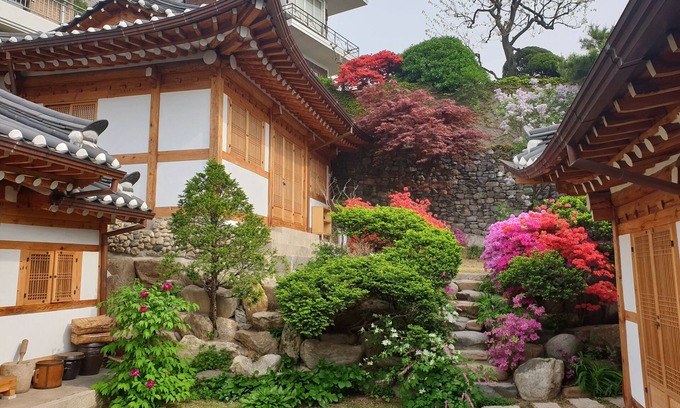 Hyehwa House | Beautiful & cozy relaxation in a traditional Korean house. Wonderful memory!