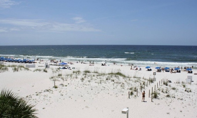 Gulf Shores Condo | Beautiful Gulf Shores Is Calling Your Name!Driftwood Towers 2A