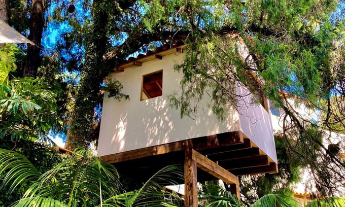 Cuernavaca House | Beautiful house with private pool and gorgeous gardens. Pet Friendly!