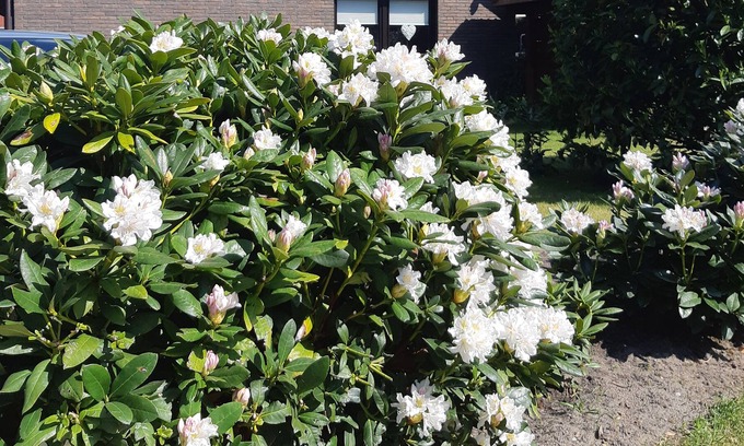 Dangastermoor Apartment | Beautiful large holiday home (with bath + shower) in Dangastermoor