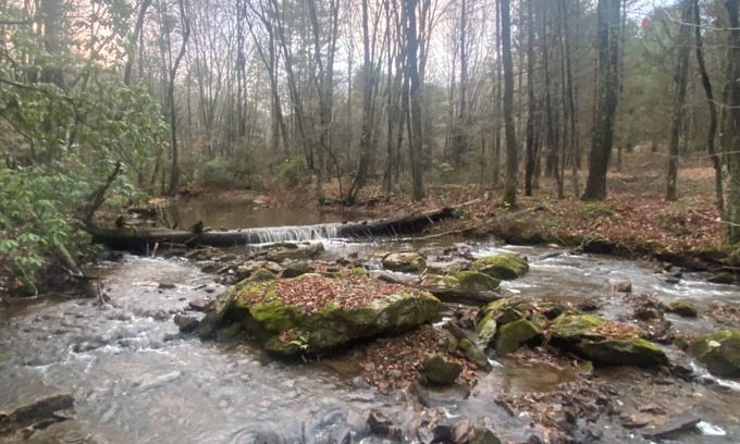 Montebello Cabin | Beautiful new cabins mile off Blue Ridge Parkway in Montebello, VA
