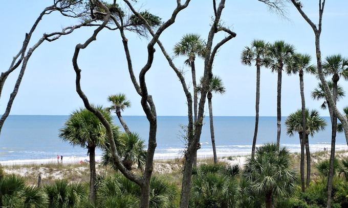 Palmetto Dunes Condo | BEAUTIFUL OCEANFRONT VILLA - BIG-SCREEN TV - NEWLY PAINTED - HIGH-END MATTRESS