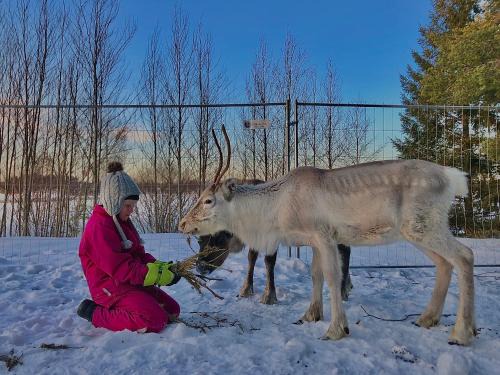Tervola Villa | Beautiful rural experience with reindeer