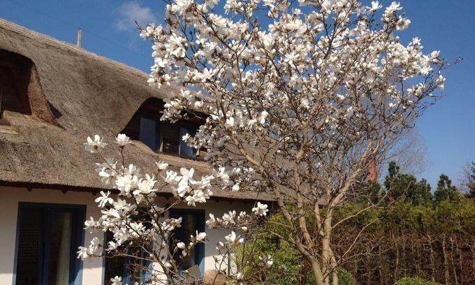 Peenemuende Apartment | Beautiful thatched roof house with large garden and terrace