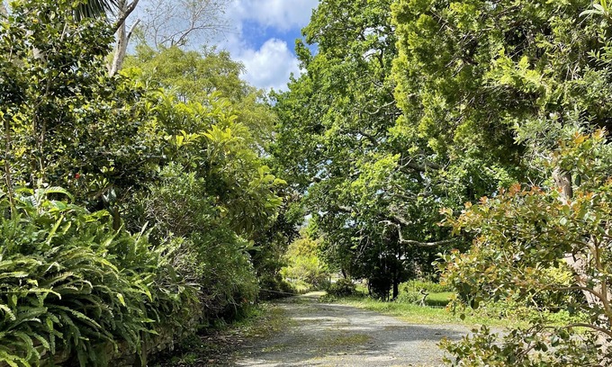 Whananaki House | Beautiful views of the Whananaki estuary, from your cosy flat.