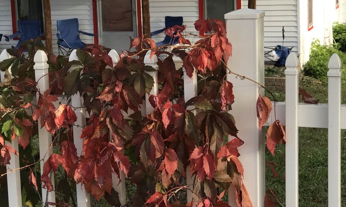 Beulah House | Beautiful Views, Secluded, Pet Friendly