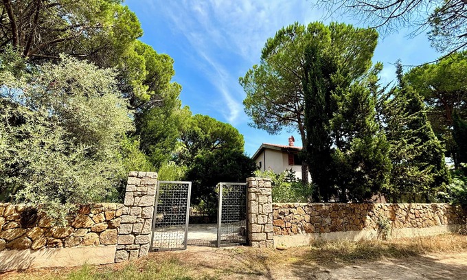 Cala Liberotto Villa | Beautiful villa in a pine-wood 150 m from a white sandy beach