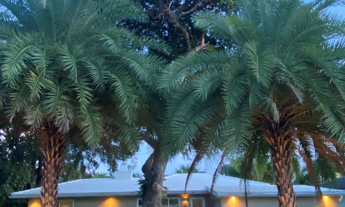 East Fort Lauderdale House | Beautifully designed tropical oasis 600 steps to the beach