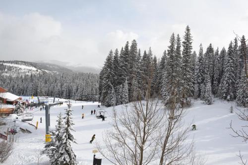 Peak 9 House | Beaver Run Resort 4332 by Great Western Lodging